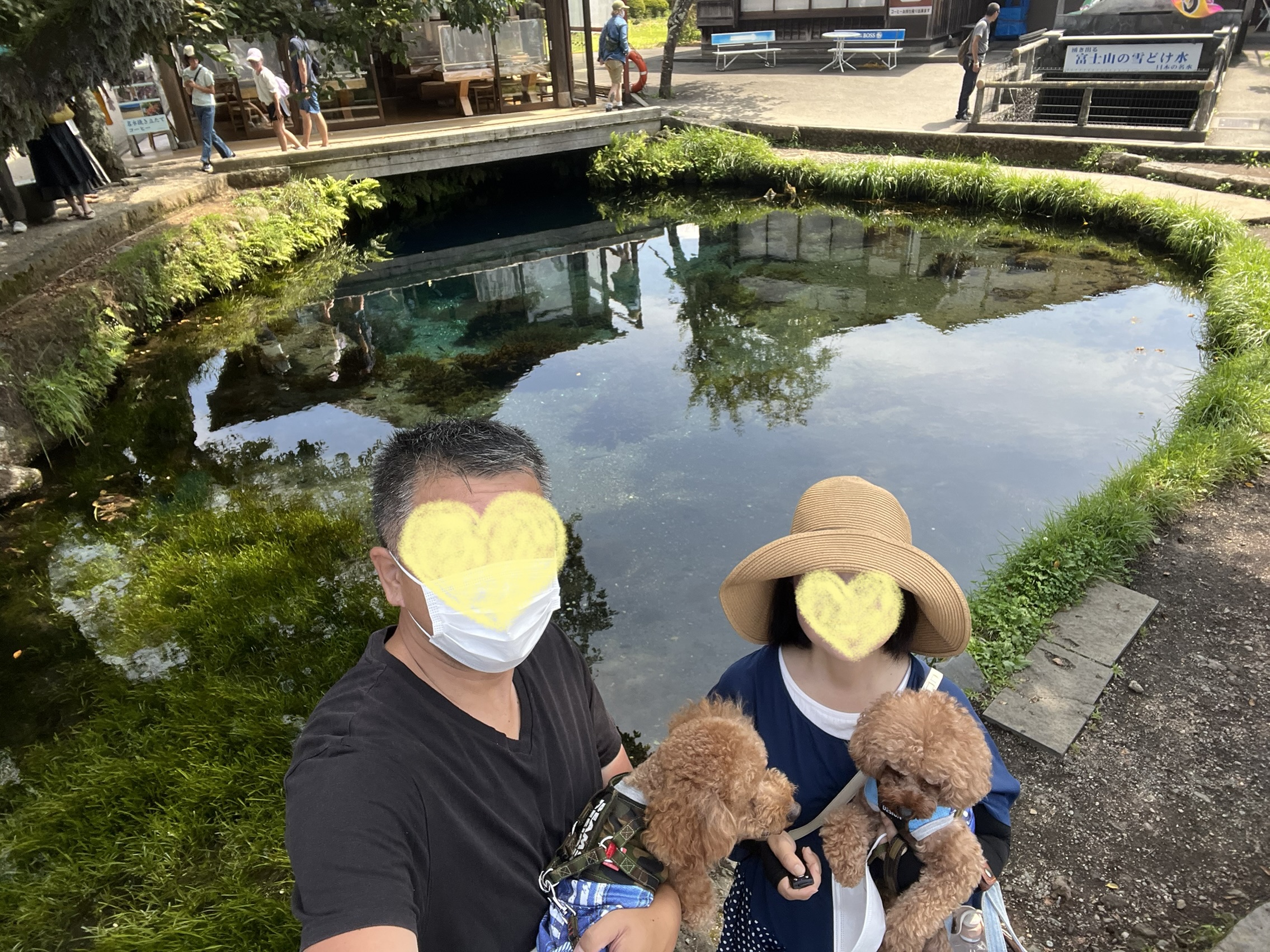 キャンピングカー犬旅 山梨旅行 静岡旅行｜キャンピングカーで