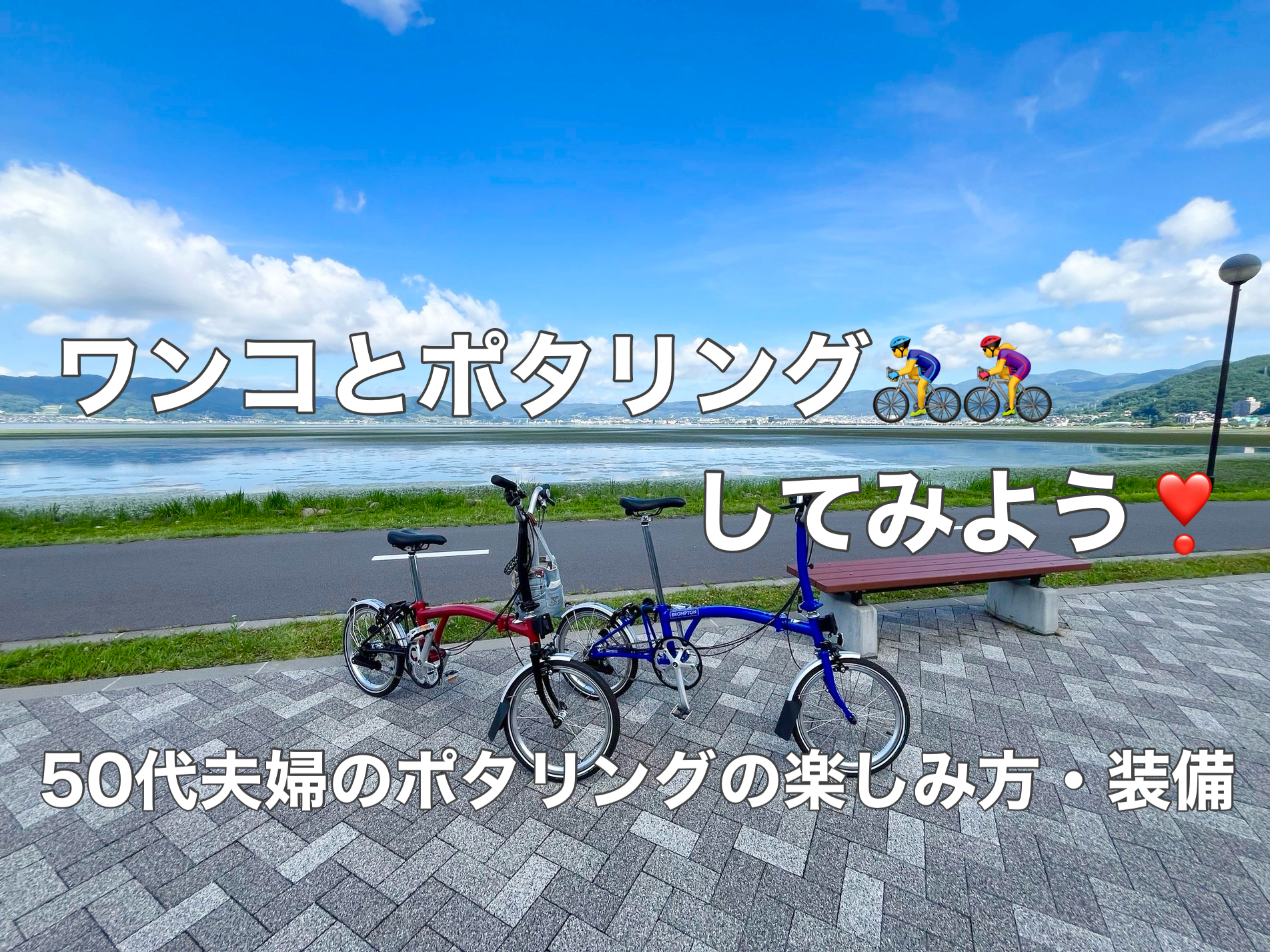 キャンピングカーと相性抜群‼️ワンコとポタリングしてみよう 